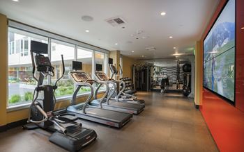 a gym with cardio equipment and large windows